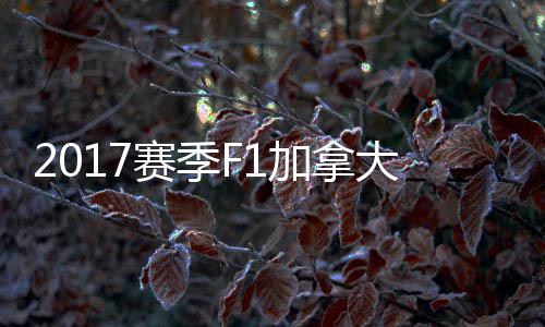 2017赛季F1加拿大大奖赛 汉密尔顿反杀夺冠胜法拉利 他都没有给对手任何机会