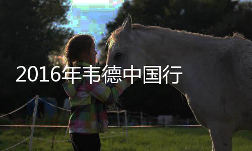 数据控：休赛期巡礼之灰熊 康利合同变成双刃剑 德中韦大爷为他颁奖